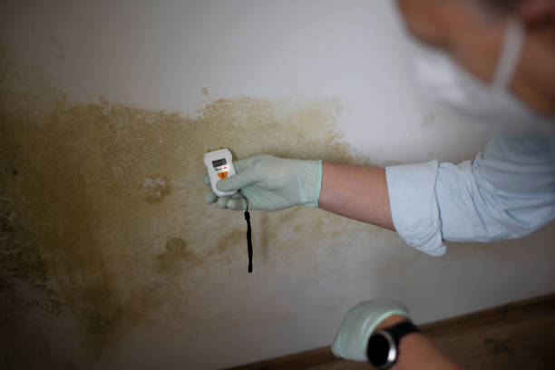 Best Residential Mold Inspection & Testing  in Hallowell, ME